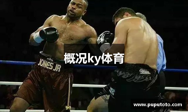 概况ky体育